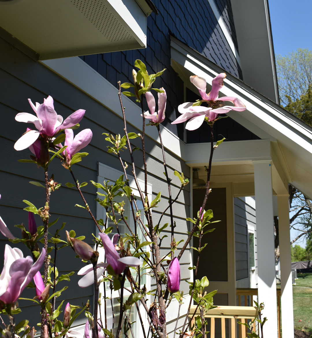 cottage-entry-flowers.png