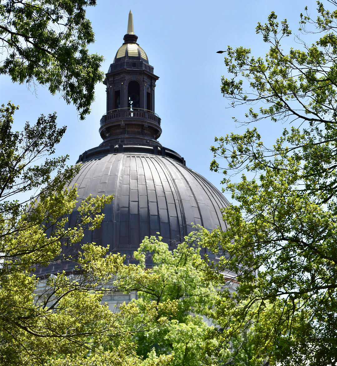 chapel-dome.png